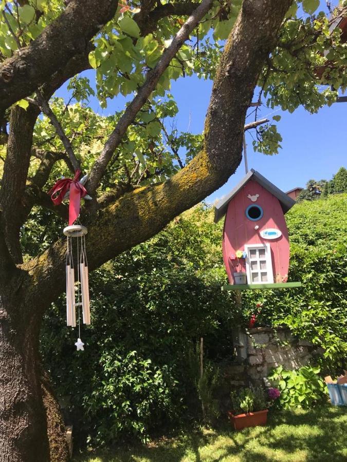Villa Gelsomino ヴェルバーニア エクステリア 写真